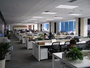 天職國(guó)際會(huì)計(jì)師事務(wù)所（特殊普通合伙） 北京信息技術(shù)咨詢服務(wù)解析